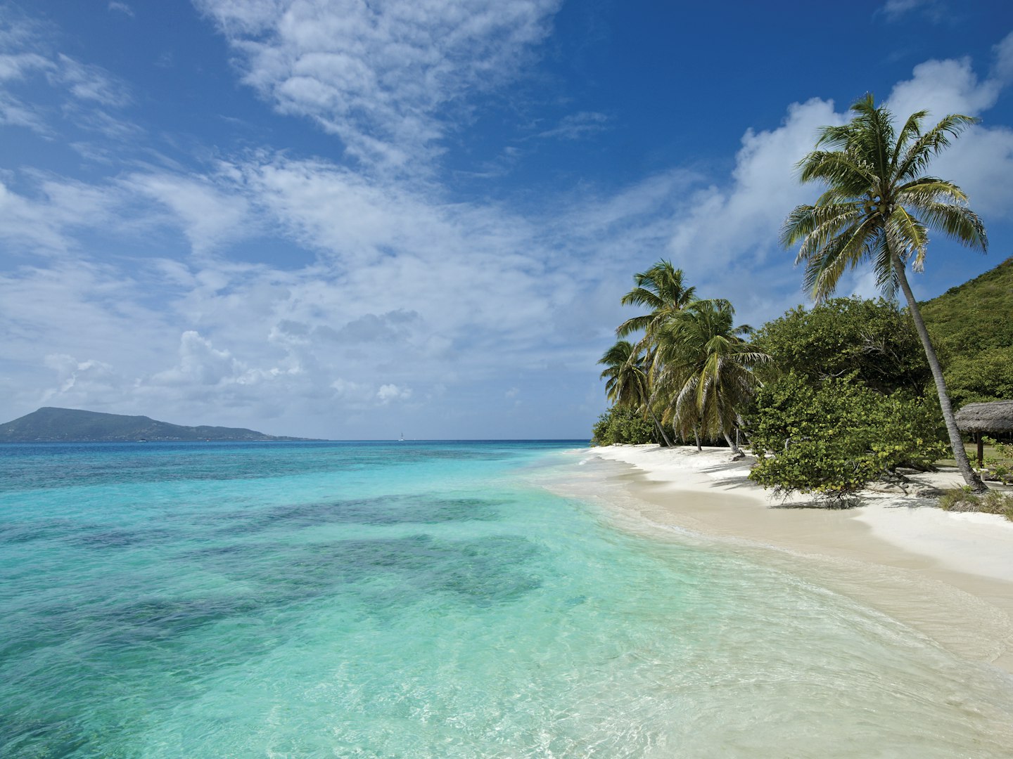 petit st vincent